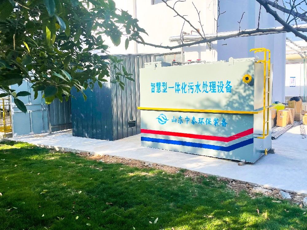 次氯酸钠发生器在乳制品企业冰淇淋制作水消毒中的应用